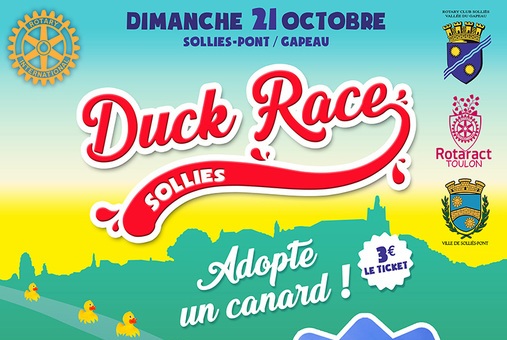 duck-race