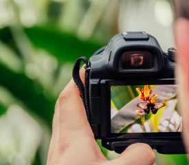 Projet concours photo