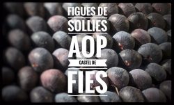 Castel de Fies