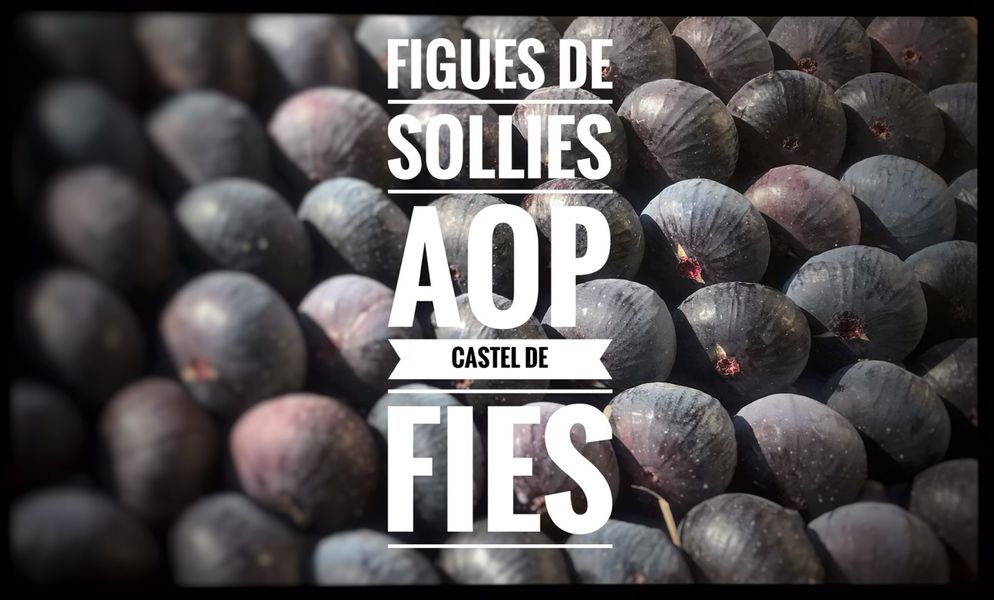 Castel de Fies