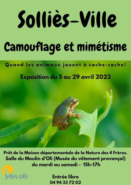 Exposition