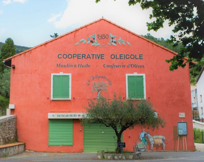 Visite de la cave oléicole