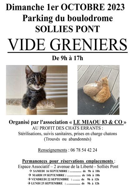 VG Miaou
