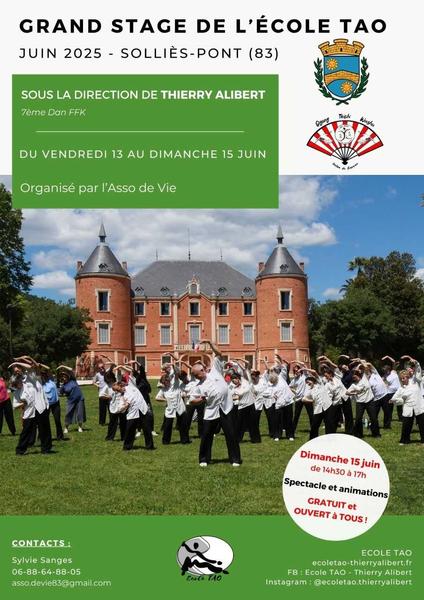Stage Arts Martiaux
