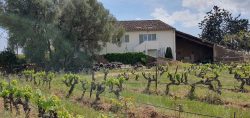 Gîte Mme LAMBERT_La Farlède