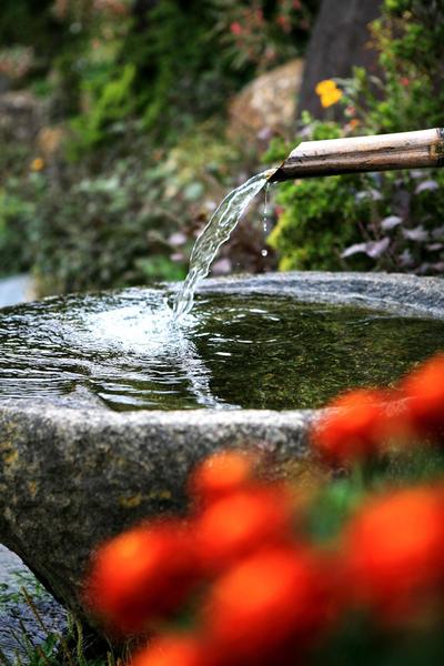 « Zen est l’eau »_La Farlède
