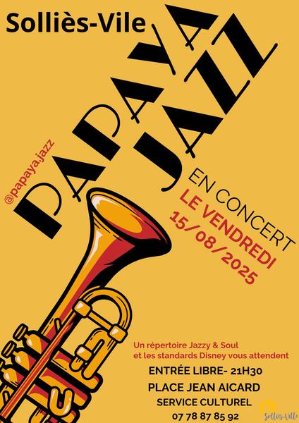 Concert_Solliès-Ville