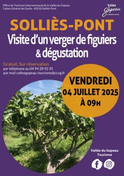 Visite d’un verger de figuiers et dégustation_Solliès-Pont