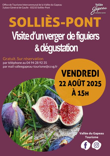 Visite d’un verger de figuiers et dégustation_Solliès-Pont