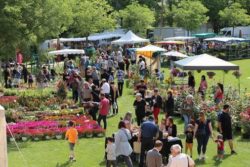 Foire aux plants