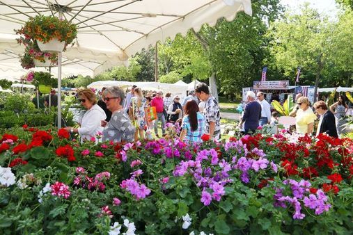 Foire aux plants