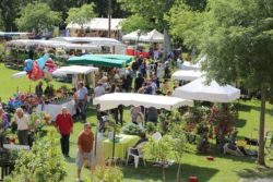 Foire aux plants