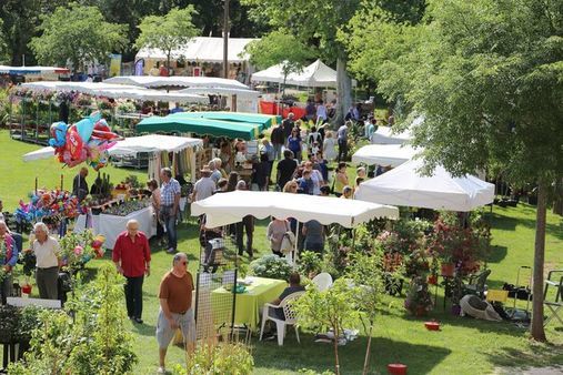 Foire aux plants