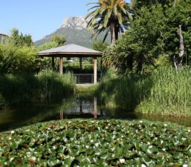 Jardin Pagès