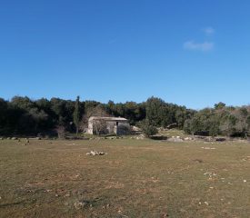 Circuit des bergeries