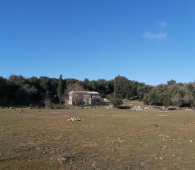 Circuit des bergeries