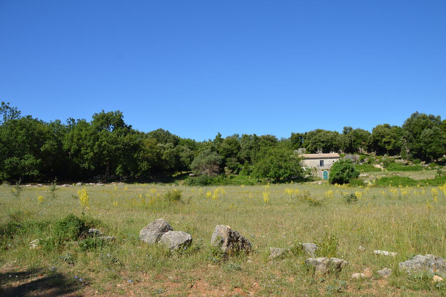 Plateau de Siou Blanc