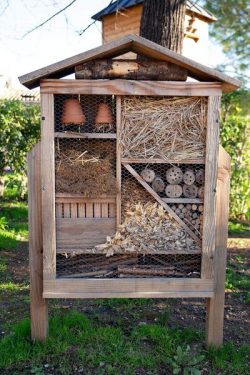 Hôtel à insecte